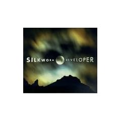Developer [12 inch Analog]
