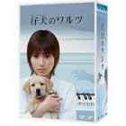 �e���̃����c DVD-BOX