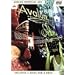�A���@���� Avalon �������A���{�b�N�X [DVD]
