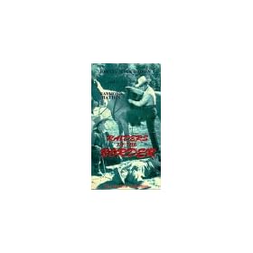 Raiders of the Border [VHS] [Import]
