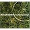 Mr.Children�@�A�[�e�B�X�g���W
