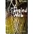 A Tangled Web : Level 5 (Cambridge English Readers)