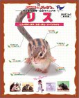 [Book] リス―リスの飼育・医学・生態・歴史…すべてがわかる (スタジオ・ムック―アニファブックス-わが家の動物・完全マニュアル-)