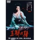 ���A�̒� [DVD]