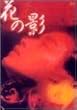 �Ԃ̉e [DVD]