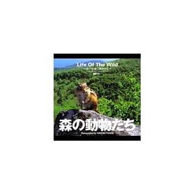 �X�̓������� Life Of The Wild
