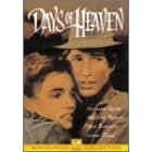 �V���̓��X [DVD]