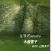 3/8 Forests �؉����q with ���m�q