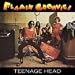 The Flamin' Groovies �q�X�g���[