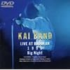 Big Night~KAI BAND LIVE AT BUDOKAN 1996~ [DVD]