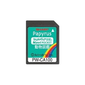 SHARP �R���e���c�J�[�h �����}�ӃJ�[�h PW-CA100 (PW-J5000�Ή�)