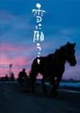 ��Ɋ肤���� �v���~�A����G�f�B�V���� [DVD]