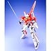 MG 1/100 �[�[�^�v���X�e�X�g�@�J���[�^�C�v