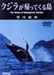 �N�W�����A���Ă��铇 [DVD]