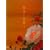 ���O���K�N DVD-BOX ��