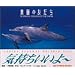 �y���̗F�����\DOLPHINS,FRIENDS OF THE EARTH (BIG SPIRITS BOOKS)