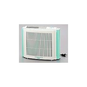 TWINBIRD ��C����@ �t�@���f�B�^�C�j�[E �O���[��