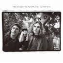 Rotten Apples,The Smashing Pumpkins Greatest Hits