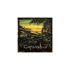 wave [12 inch Analog]