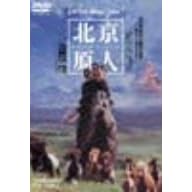 �k�����l Who are you? [DVD]