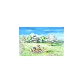 ���c�V�� 1000�s�[�X �O���[�� �Q�C�u���Y (50cm�~75cm�A�Ή��p�l��No.10)