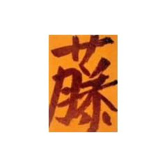 �V�����l�A���\���W�[II [DVD]
