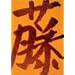 �V�����l�A���\���W�[II [DVD]