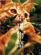 �q�L���� [DVD]