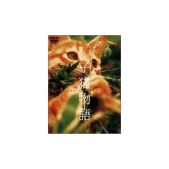 �q�L���� [DVD]