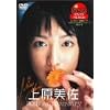 �T�������O�T���f�[ DVD PREMIUM �㌴���� 20th Anniversary