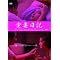 �r�䐰�F�搶�֘A�̍�i�E�{�Ȃǁ`���̂Q�`