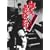 �V �m�`�Ȃ��킢 �g���Ō�̓� [DVD]