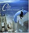 Cats of the Greek Islands