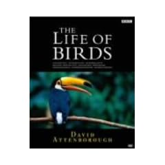 BBC ���C�t�E�I�u�E�o�[�Y/���̐��E DVD-BOX