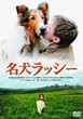 ���� ���b�V�[ [DVD]