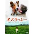 ���� ���b�V�[ [DVD]