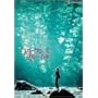 ���o�[�E�����Y�E�X���[�E�C�b�g [DVD]