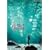 ���o�[�E�����Y�E�X���[�E�C�b�g [DVD]