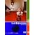 �C�W�[�E�g�����J�̐��EI�u�w��x���̑��̒Z�сv [DVD]