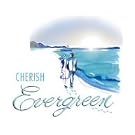 �`�F���b�V���uL.O.V.E.�v���̍��t�O���t�B�e�BVol.4�uEvergreen(���܂ł��ς��Ȃ�)�v