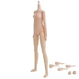 25BD-F02N�@25cm�{�f�B�@M�T�C�Y�@�i�`�������I�r�c���쏊�ɂ��