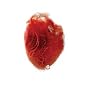 Love Is Simple