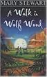A Walk in Wolf Wood (Hodder modern classic)
