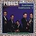 Pebbles, Vol. 8: Southern California, Pt. 1