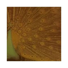 �A���XIII(���W���P�b�g�d�l)