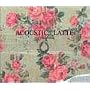 ACOUSTIC : LATTE (��������)(DVD�t)