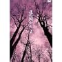 �k�̍����� Vol.2 [DVD]