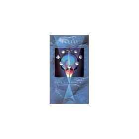 TOTO - Past to Present [VHS] [Import]