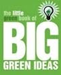 The Little Green Book of Big Green Ideas (Think Books)
