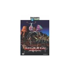 �f�B�X�J�o���[�`�����l�� �R�X�~�b�N�E�T�t�@�� ���ق̒n���O������ǂ� [DVD]